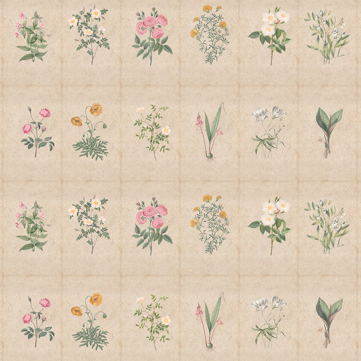 Mehek, Botanical Rendition Room Wallpaper