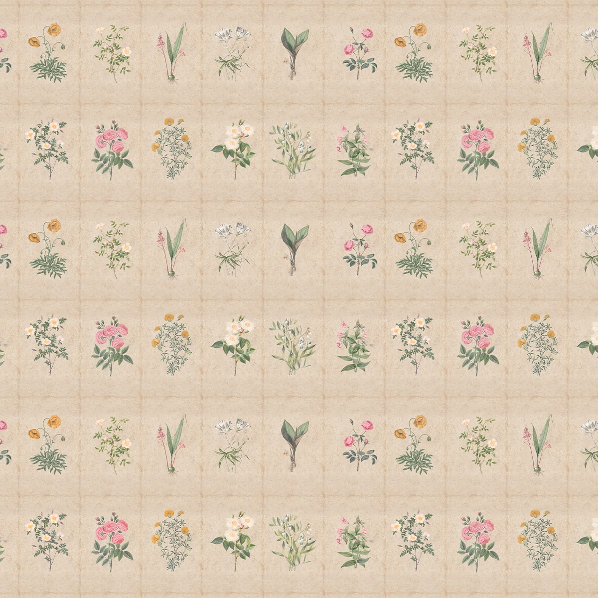 Mehek, Botanical Rendition Room Wallpaper