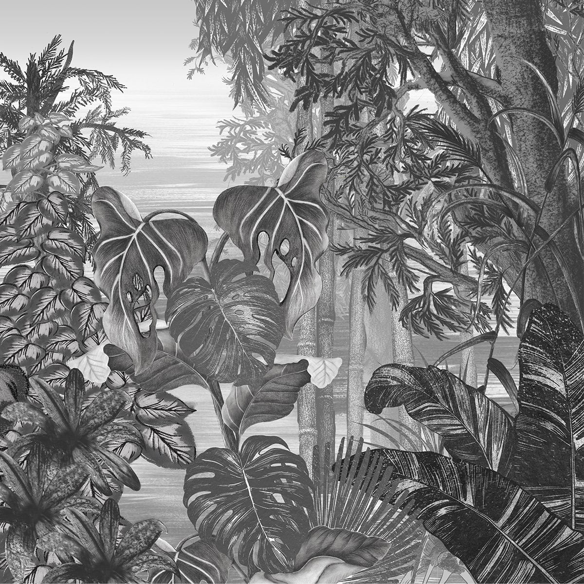 Nature's Tropical Edge: Lakeside and Mountains, Black & White