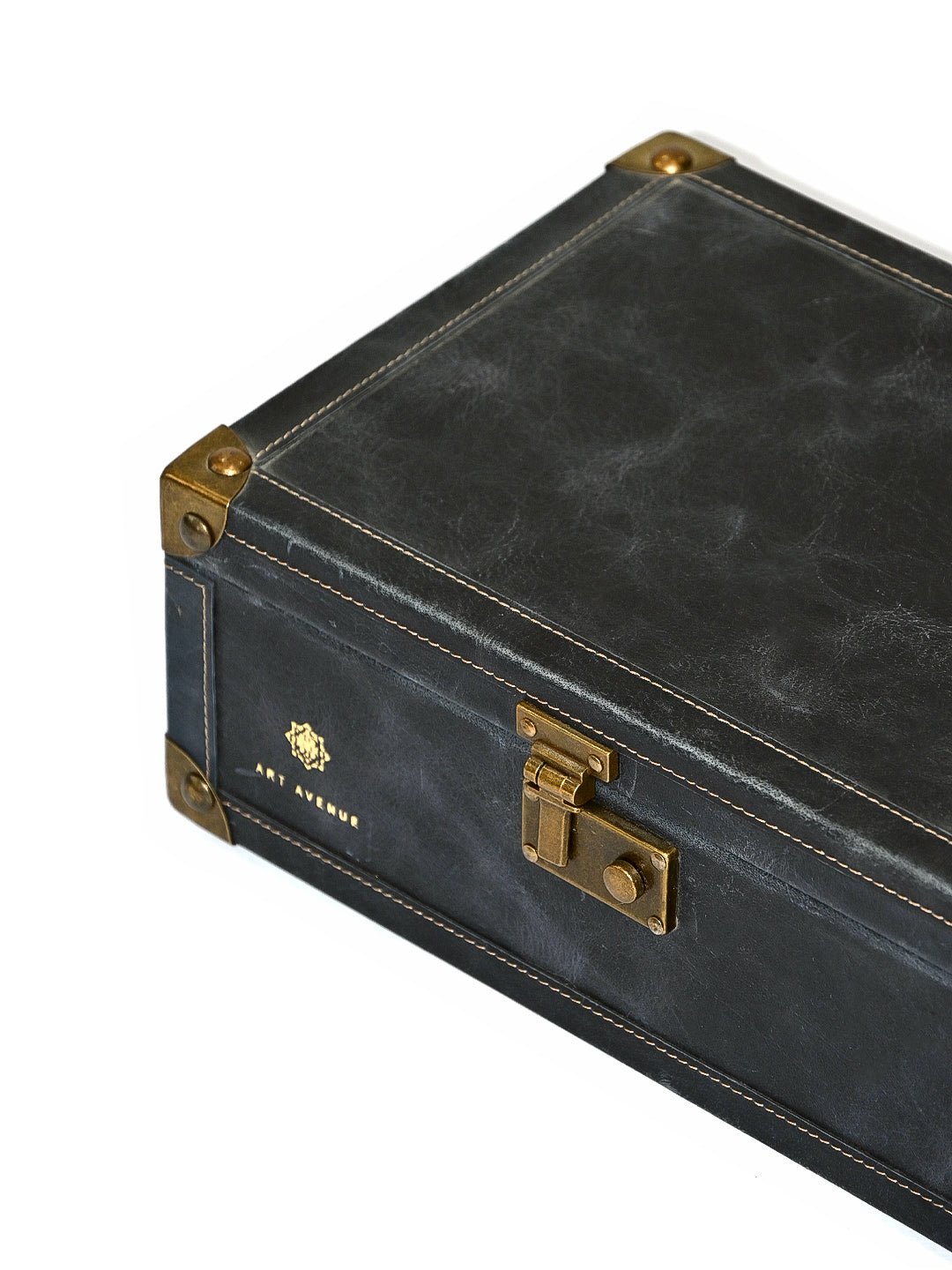 PALISH - LEATHER TRUNK - ART AVENUE