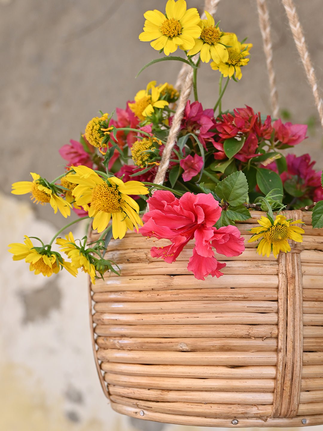 DARWIN - MULTIPURPOSE BAMBOO BASKET & POT - ART AVENUE